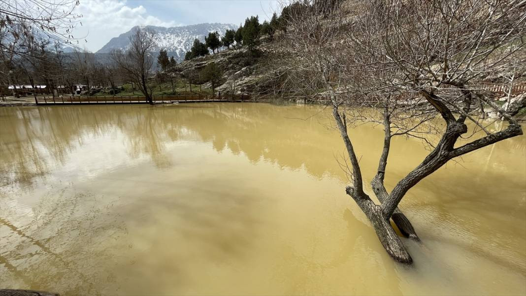 Yeşilgöz Gölü eski günlerine döndü: Depremlerde rengi değişmişti - Resim: 8